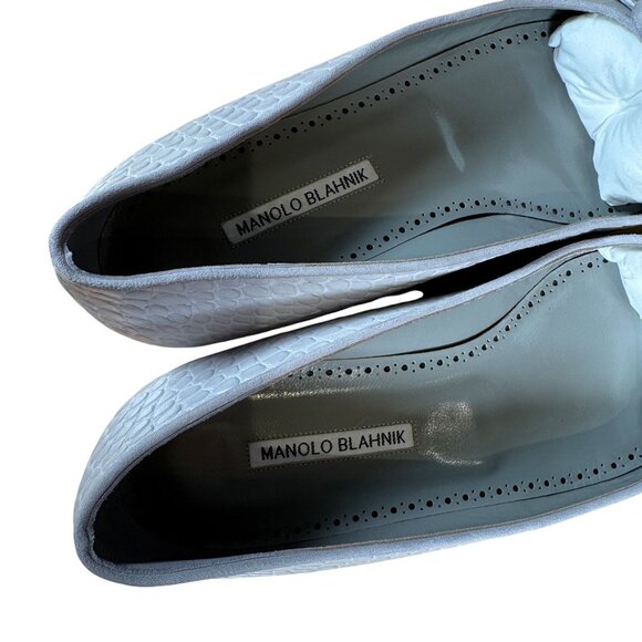Manolo Blahnik Maysale Pump Flat Light Gray Pointed Toe Size EU 41.5 - Picture 9 of 12